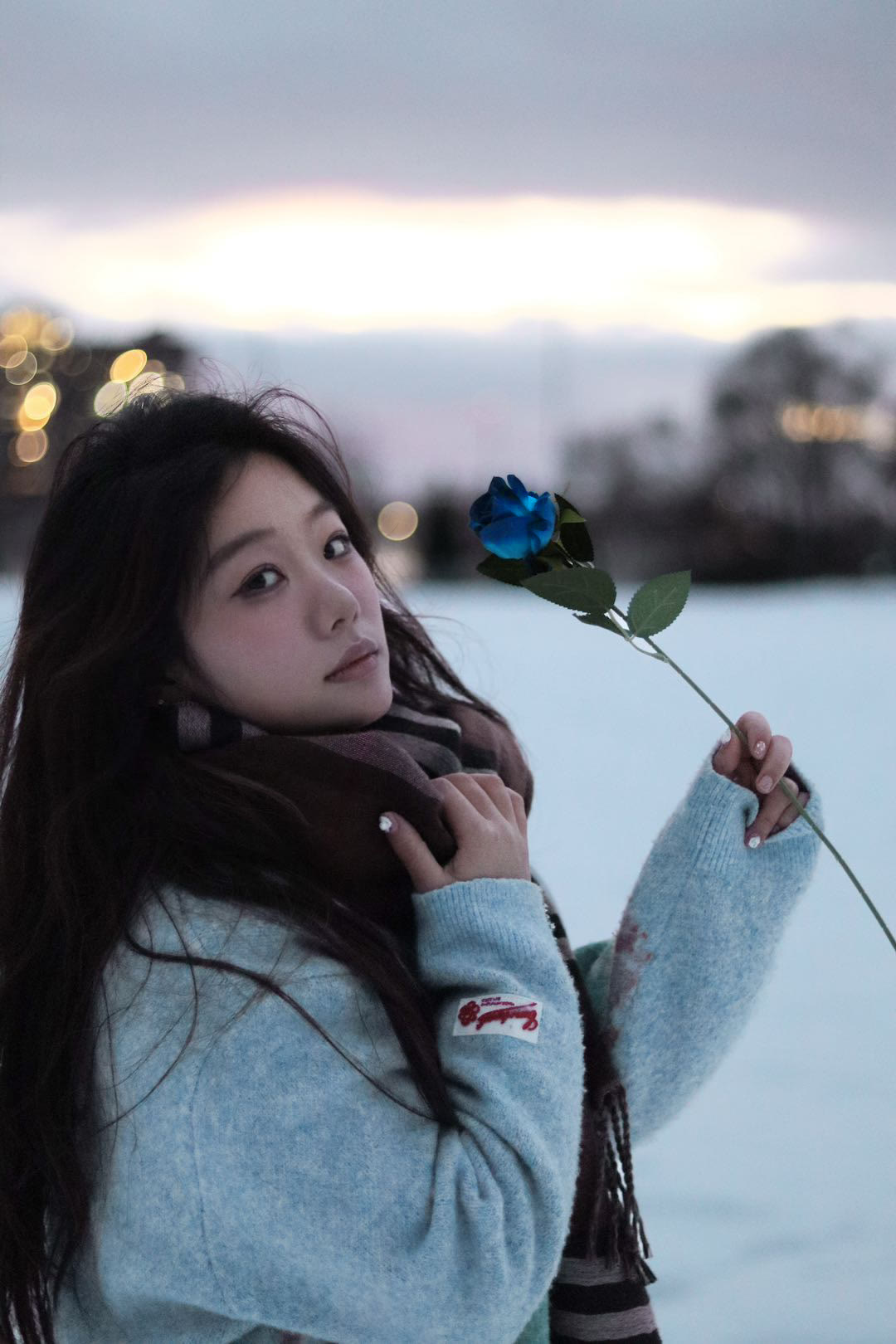 Winter portrait holding a blue rose in Ottawa